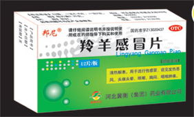 羚羊感冒片 河北冀衡集團藥業傳統中成藥全解析
