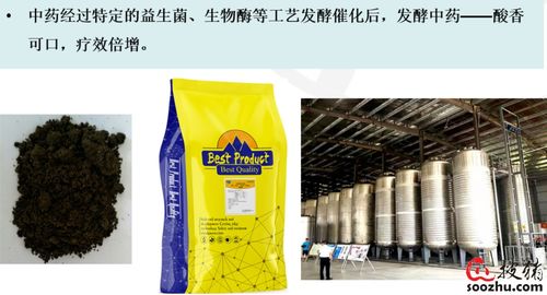 做保健，選好藥，選對藥 加樂美中成藥的防病增效之道